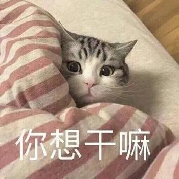 DƬ